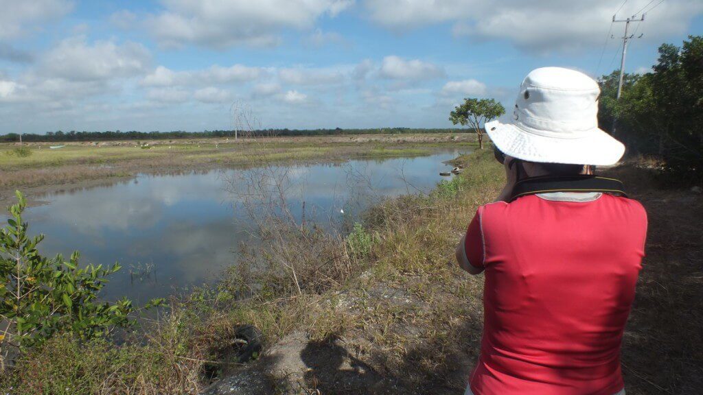 Jean takes a photo at shrimp ponds in San Blas