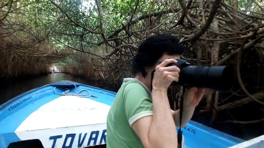  Photo of Jean taking a photo of a White Ibis in the mangrove swamp near San Blas, Mexico