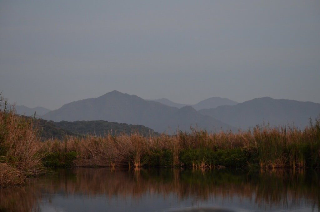 Photo of dusk in the mangrove swamp near San Blas, Mexico
