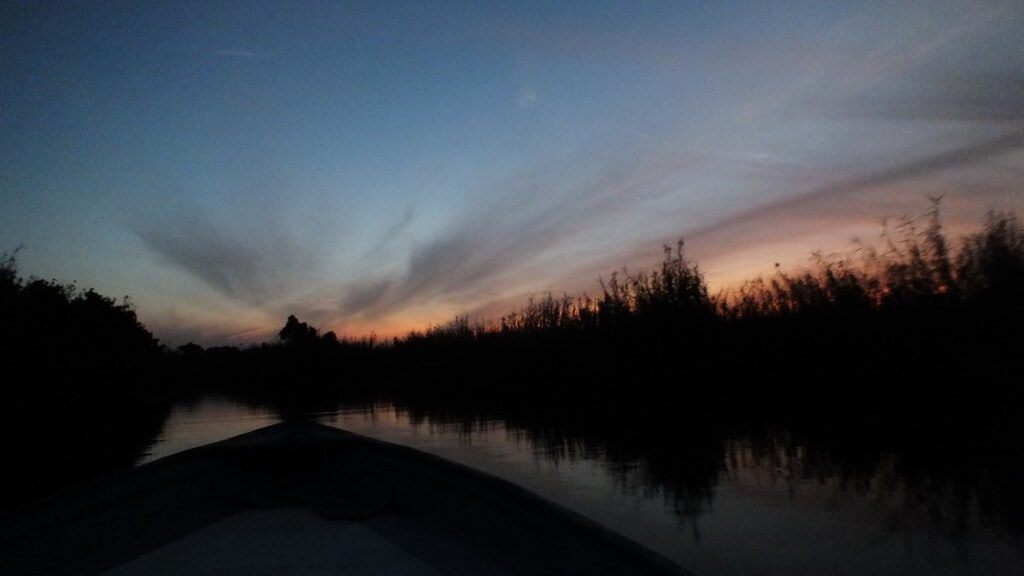  Photo of dusk settling over the mangrove swamp near San Blas, Mexico