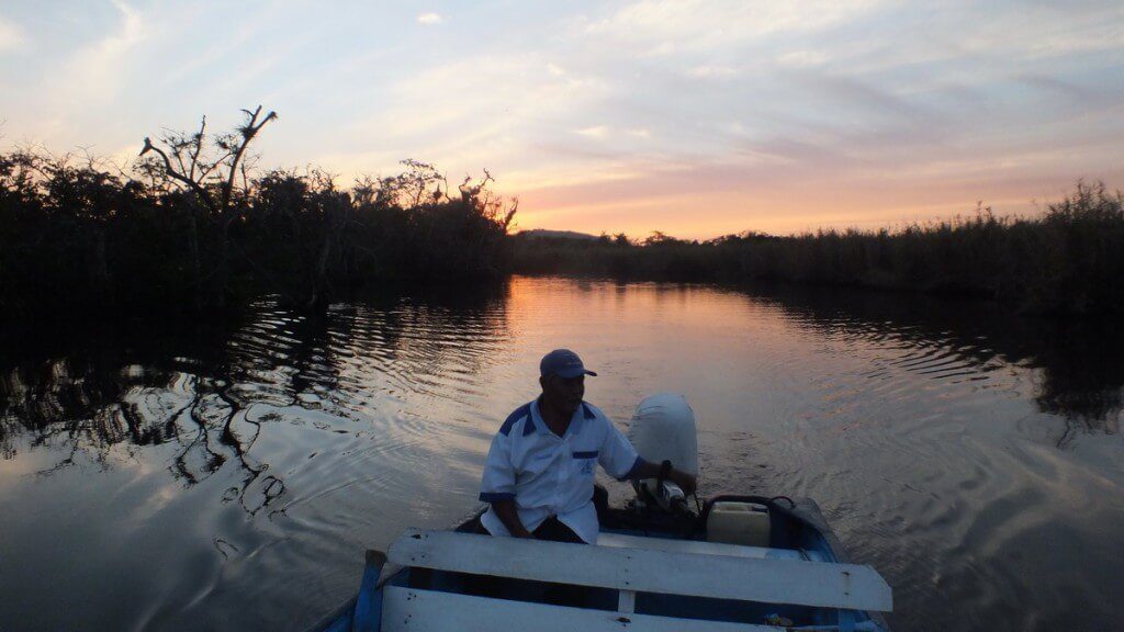 Photo of boating at sunset through the mangrove swamp near San Blas, Mexico