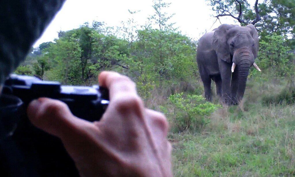 An image of Jean photographing an African Bush Elephant in Kruger National Park, South Africa. Photography by Frame To Frame - Bob and Jean. 