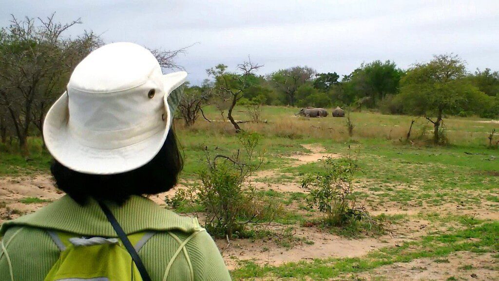 rhinos on armed safari, kruger national park, south africa, pic 1
