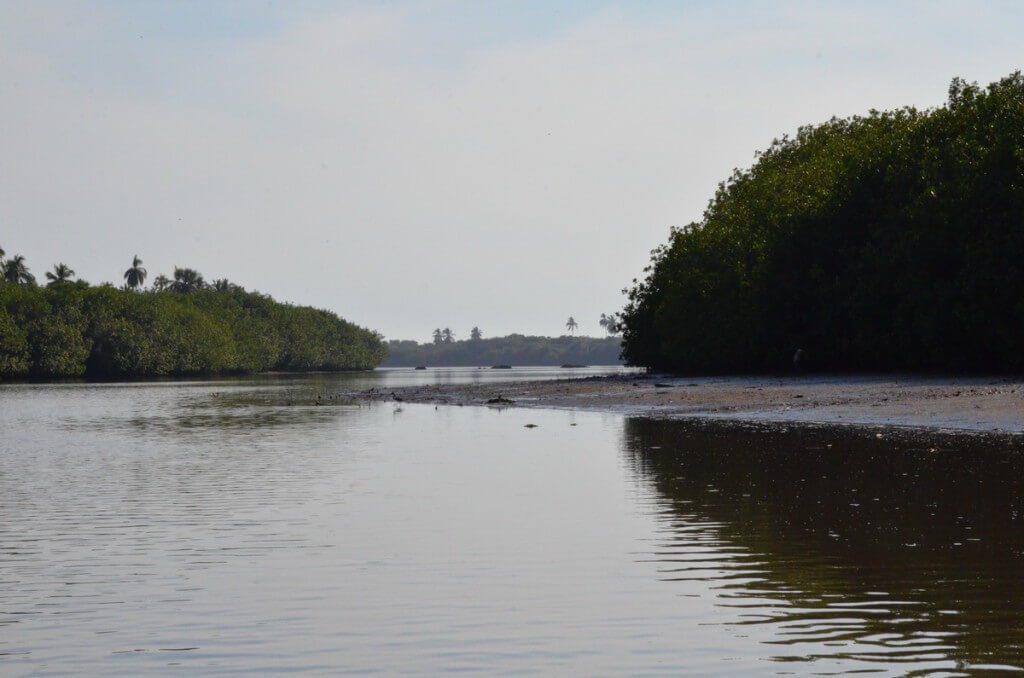 Photo of the shoreline along the San Cristobal River near San Blas, Mexico