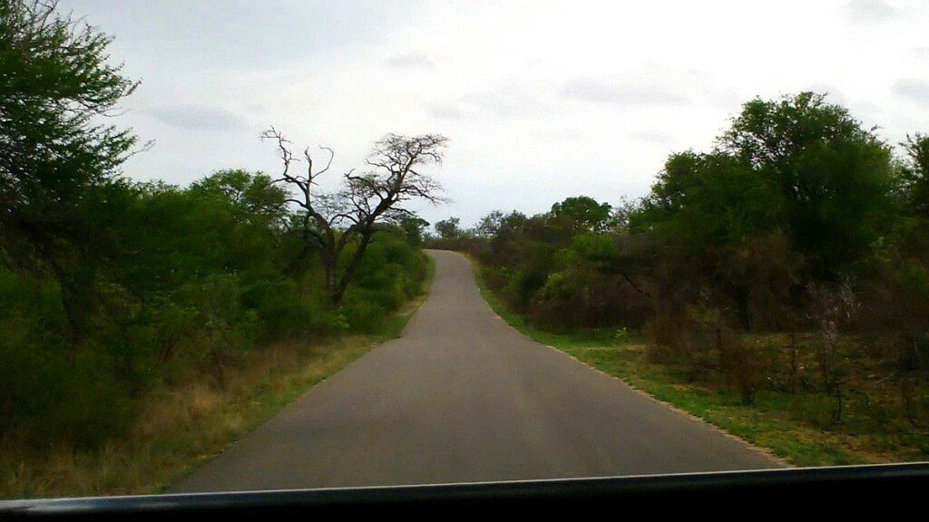 roadway, kruger national park, south africa, pic 2
