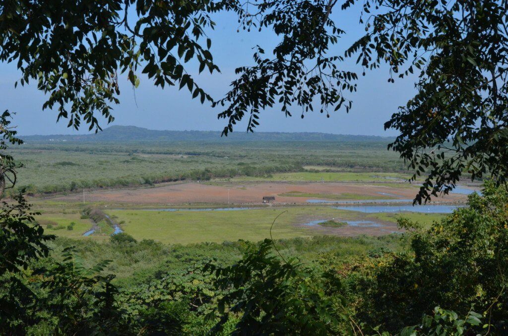 The shrimp ponds at San Blas, Mexico