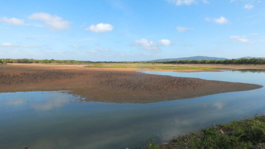 An image of the shrimp ponds near San Blas, Mexico.