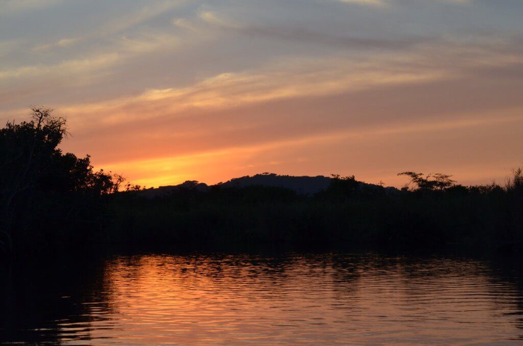 Photo of the sunset in the mangrove swamp near San Blas, Mexico