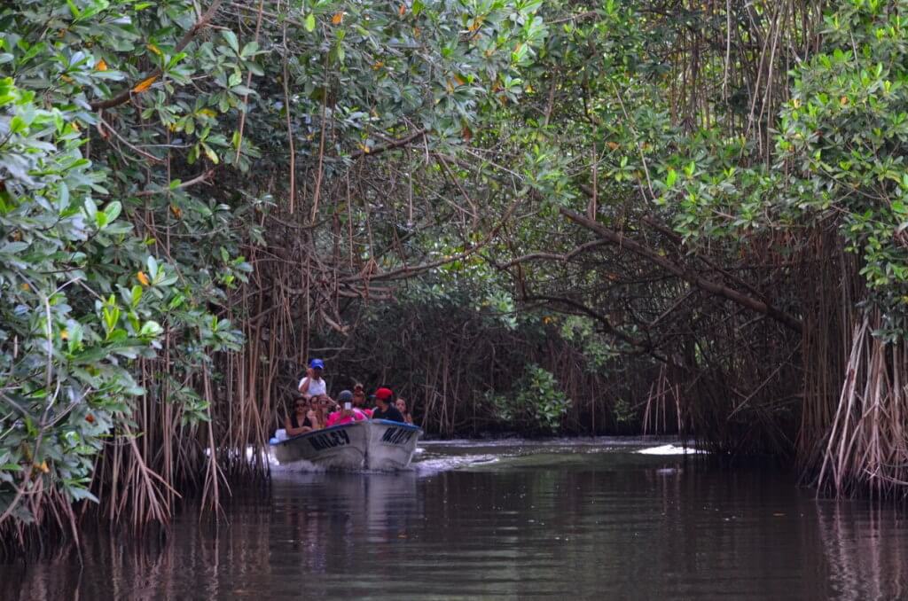  Photo of a tourist boat in the mangrove swamp near San Blas, Mexico