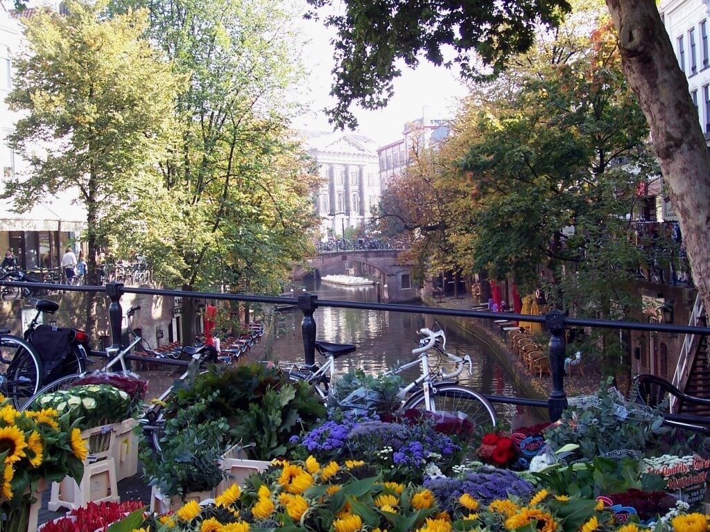 bikes and flowers on a canal bridge in amsterdam, the netherlands