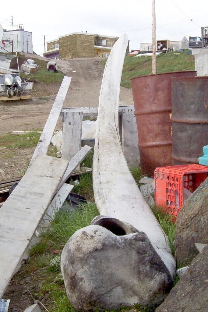 photograph of a bowhead whale jawbone in a laneway in Pangnirtung on Baffin Island, Nunavut, Canada