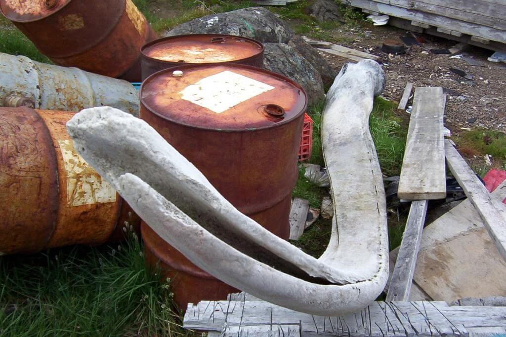 photograph of a bowhead whale jawbone in a laneway in Pangnirtung on Baffin Island, Nunavut, Canada