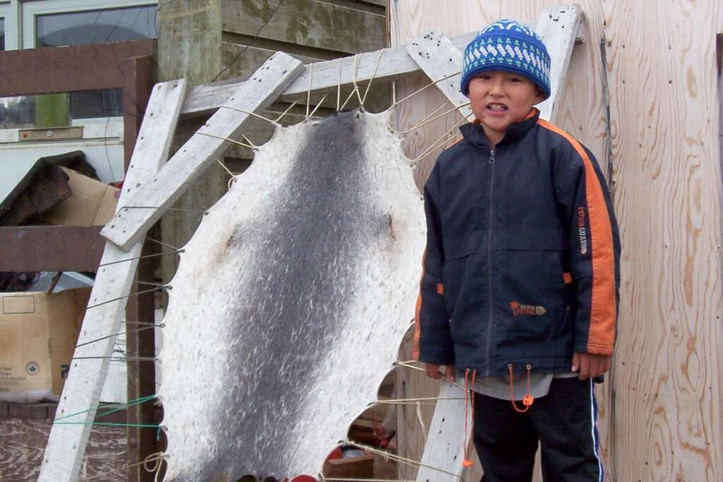 photograph of an Inuit boy standing beside a ringed seal skin stretched and drying in Pangnirtung on Baffin Island, Nunavut, Canada.
