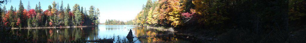 tea lake shoreline, algonquin park, ontario, canada, 2