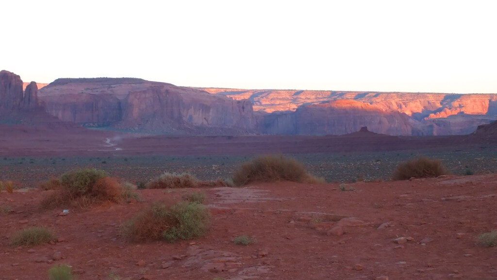 plants growing in Monument Valley in Arizona, USA