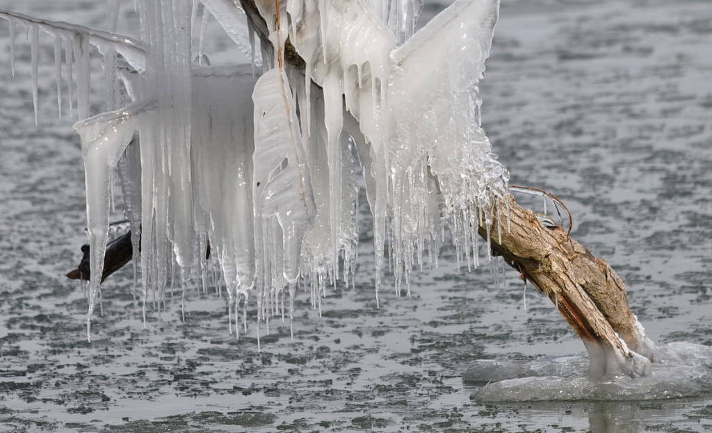 ice coated shoreline and trees, lake ontario, ontario, canada, 10