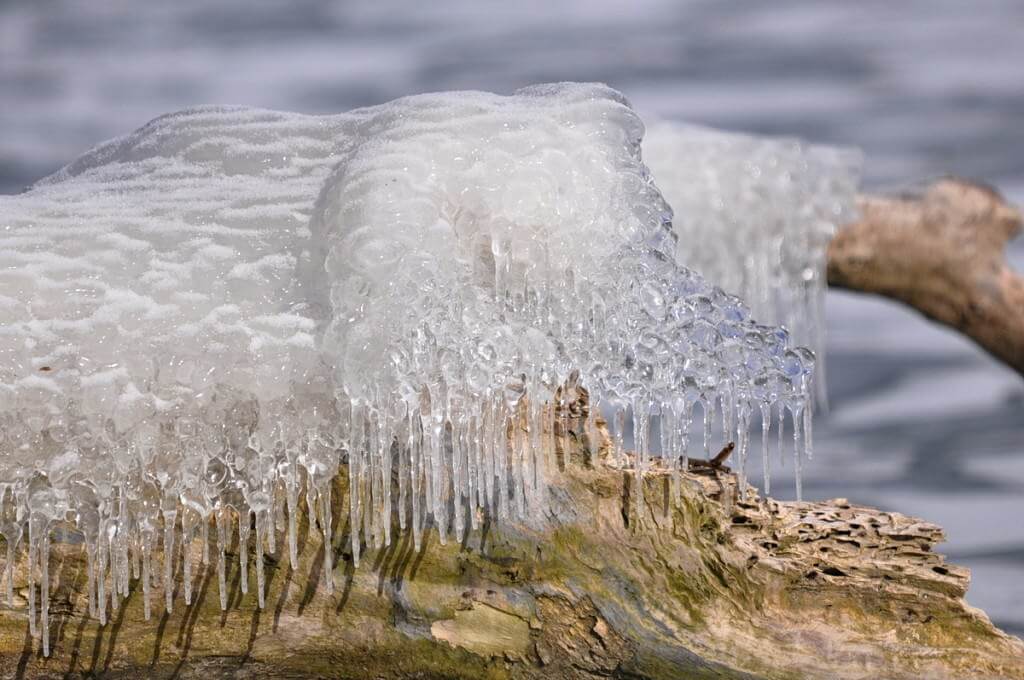 ice coated shoreline and trees, lake ontario, ontario, canada, 12