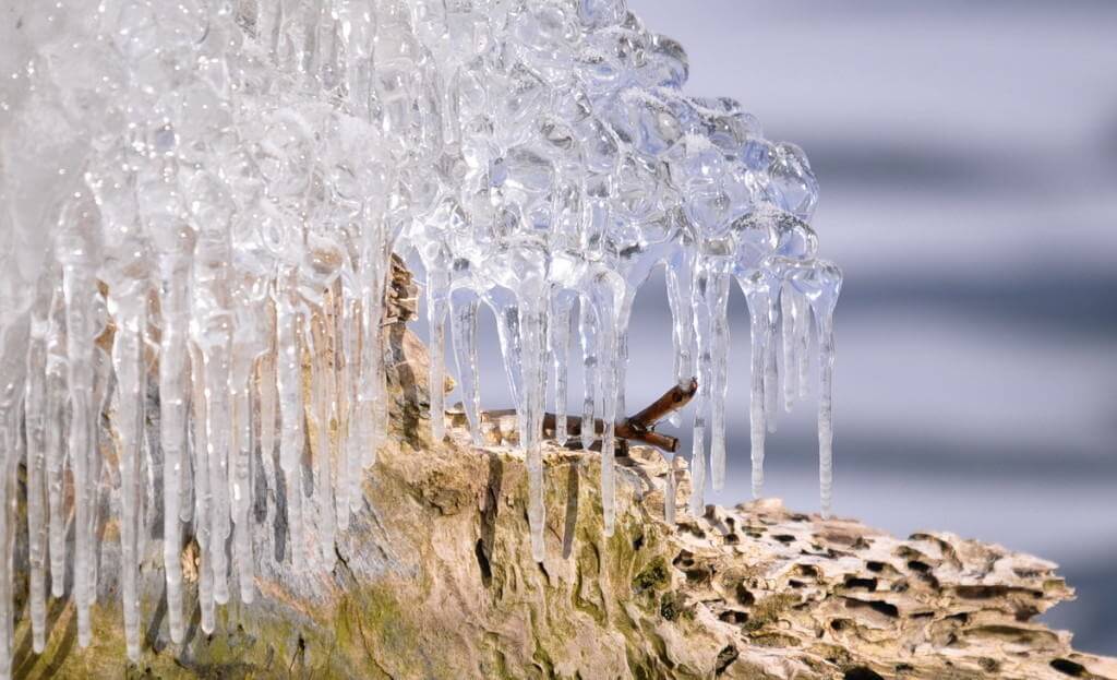 ice coated shoreline and trees, lake ontario, ontario, canada, 14