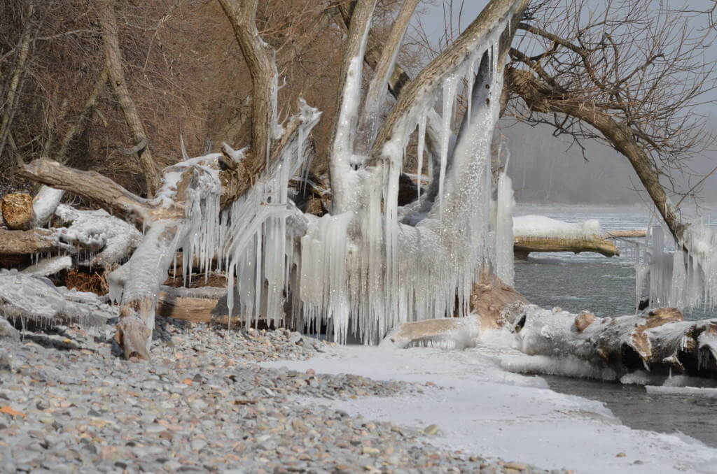 ice coated shoreline and trees, lake ontario, ontario, canada, 2