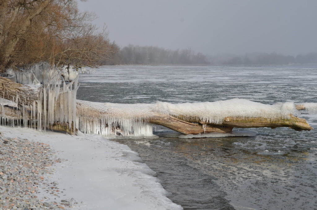 ice coated shoreline and trees, lake ontario, ontario, canada, 6