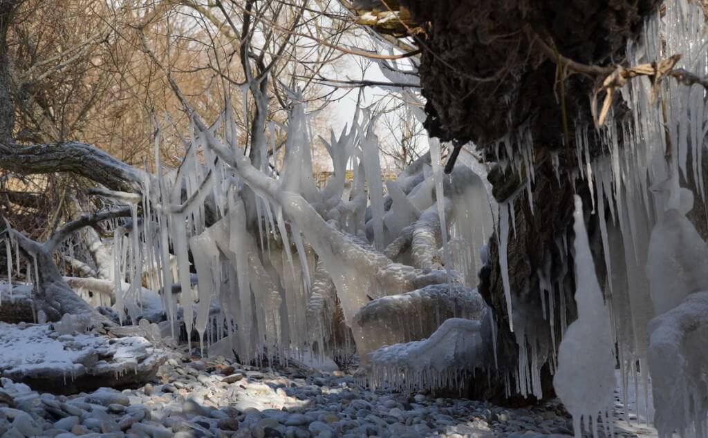 ice coated shoreline and trees, lake ontario, ontario, canada, 9