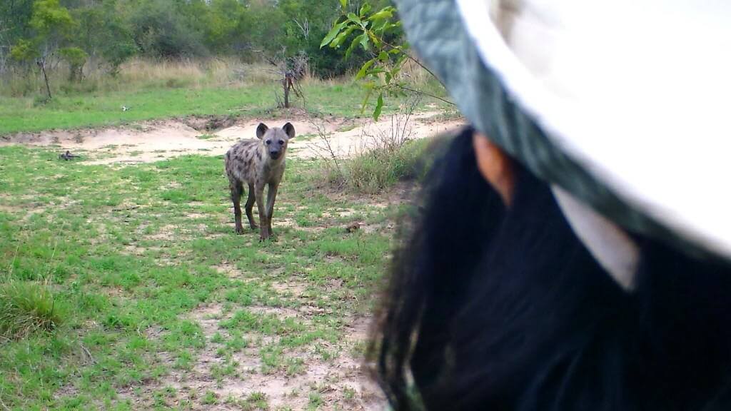 jean on armed safari, kruger national park, south africa,