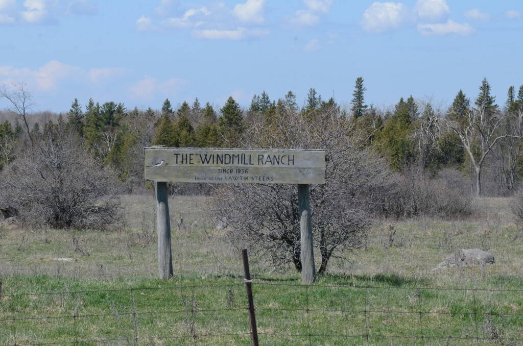 the windmill ranch sign, carden alvar, ontario