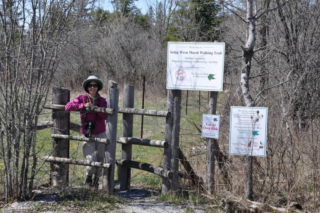 jean on the sedge wren walking trail, carden alvar, ontario