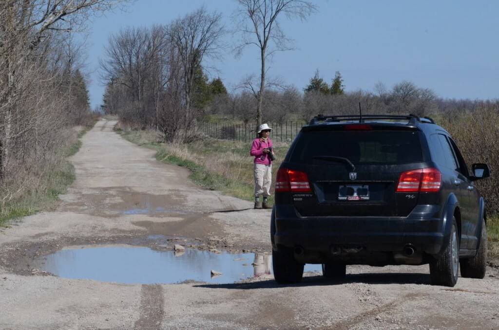 wylie road, Carden Alvar, ontario