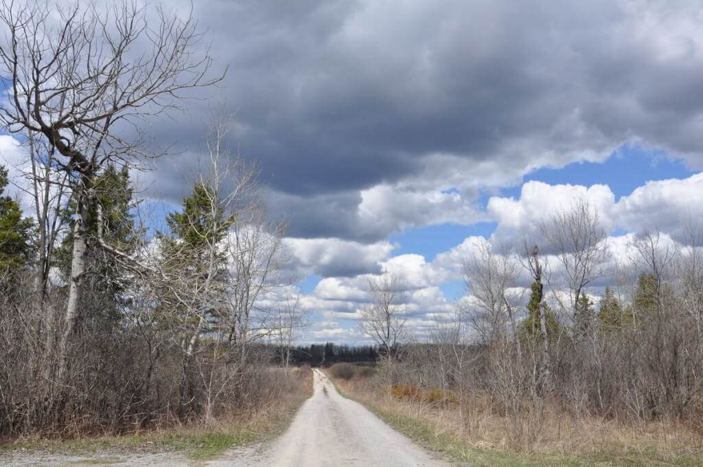 wylie road, carden alvar, ontario