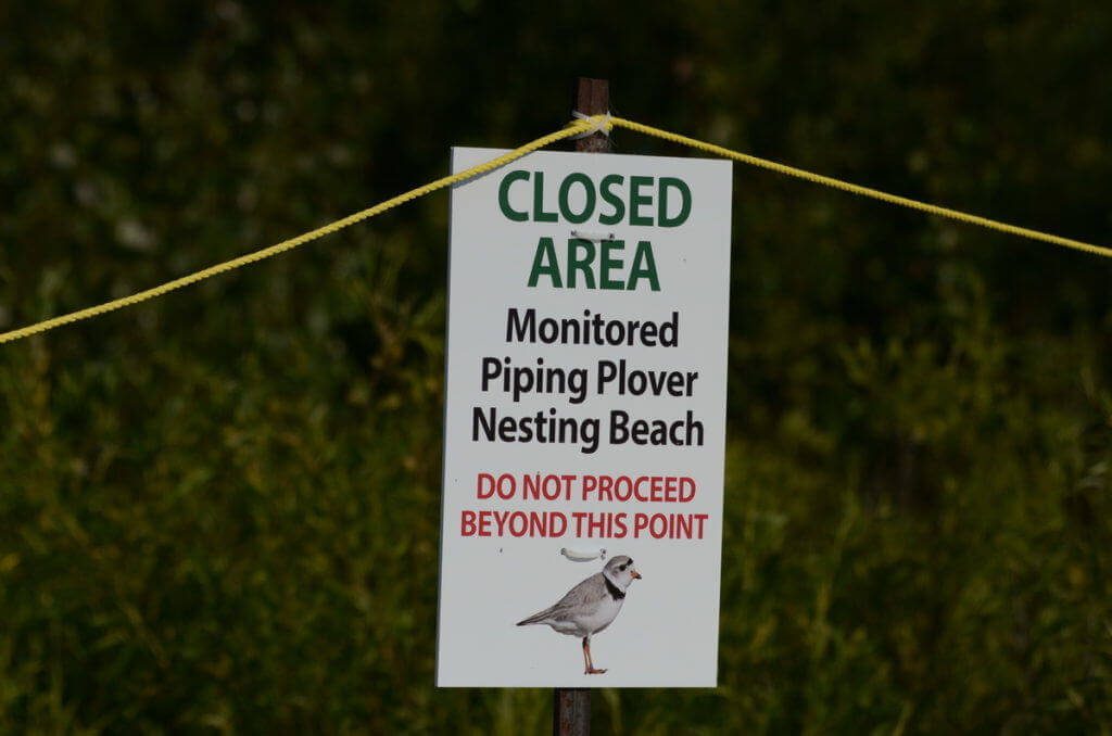 piping plover closed area sign at darlington provincial park, ontario
