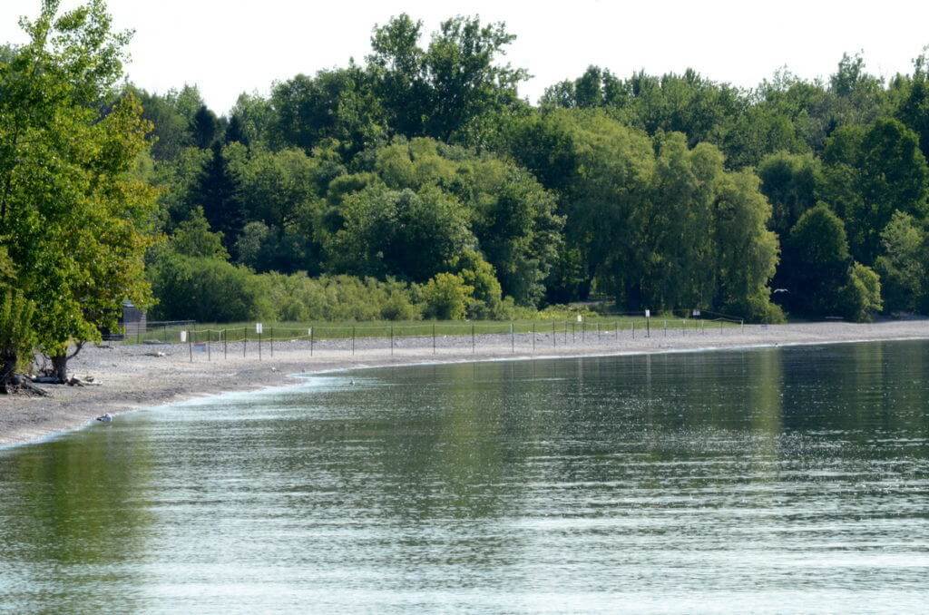 Piping plover protected area along Lake Ontario at Darlington Provincial Park, Ontario