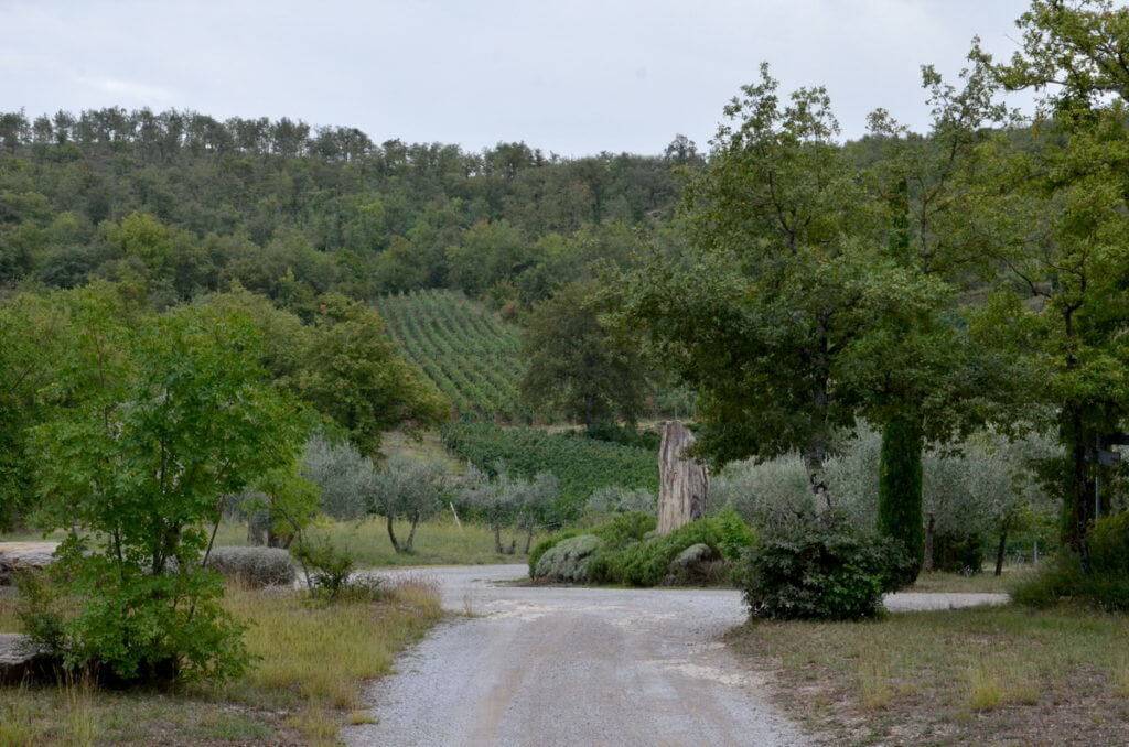 Gravel lane to stone cottage at Il Colombaio di Cencio, Gaiole, Chianti, Tuscany, Italy