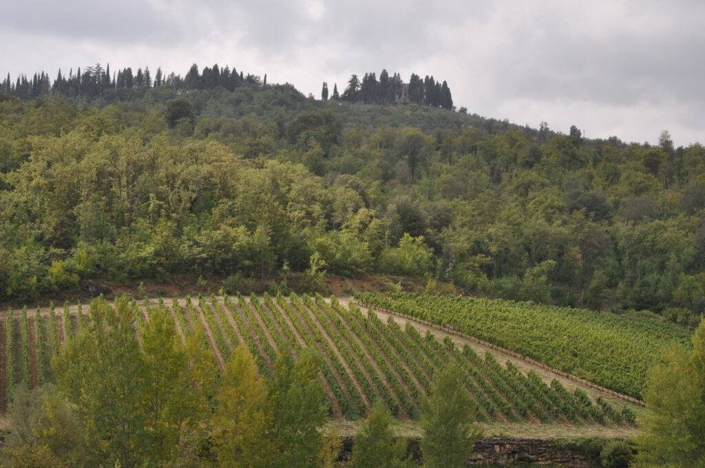 Il Colombaio di Cencio Winery in Tuscany 1
