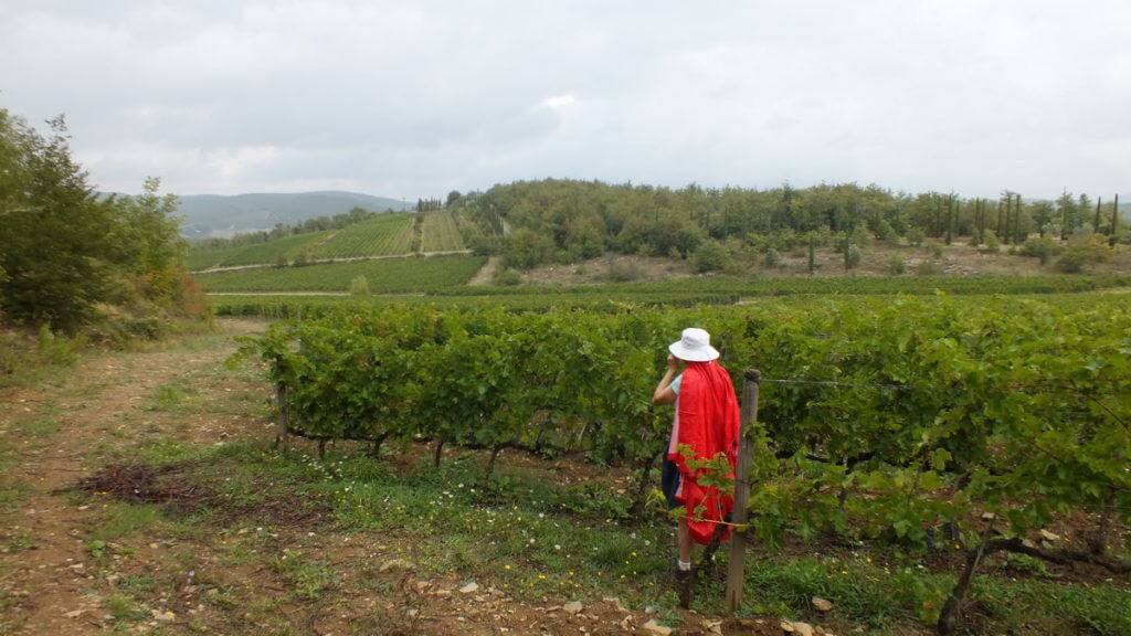 Jean in vineyard at Il Colombaio di Cencio, Gaiole, Chianti, Tuscany, Italy