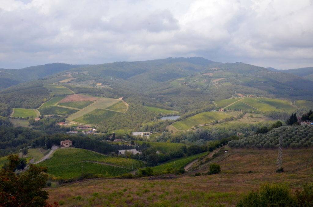 Tuscany vineyards and orchards near Il Colombaio di Cencio, Gaiole, Chianti, Tuscany, Italy