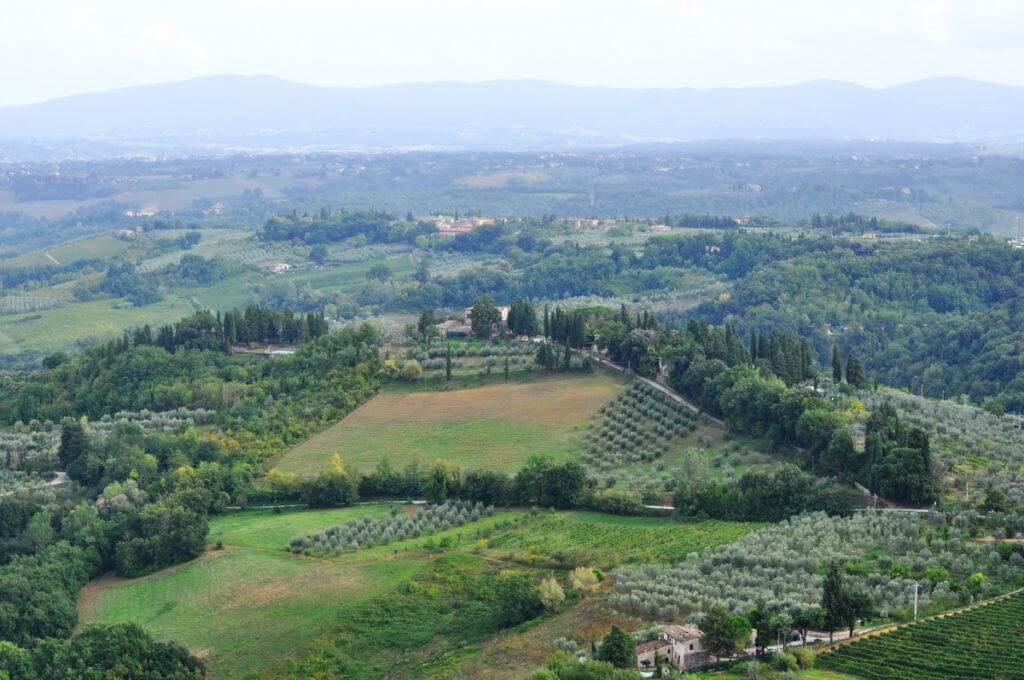 Butterflies and Moths we sighted at our retreat in Tuscany.