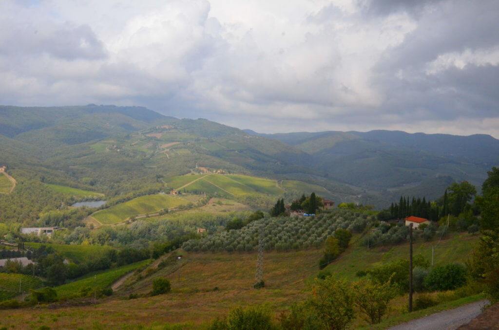 Vineyards and orchards near Il Colombaio di Cencio, Gaiole, Chianti, Tuscany, Italy 2