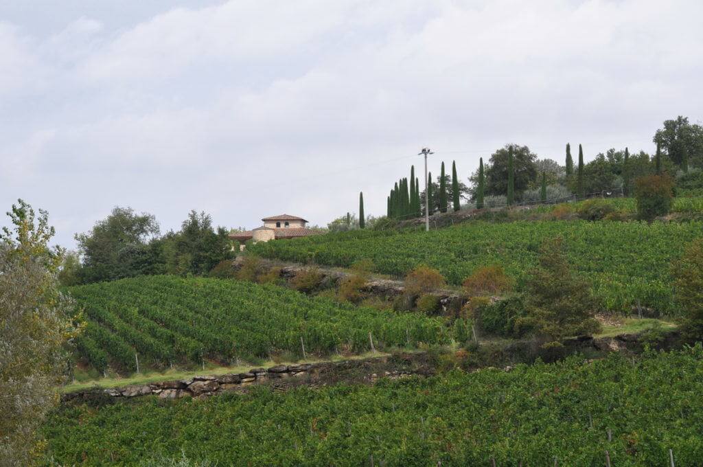 Winery at Il Colombaio di Cencio, Gaiole, Chianti, Tuscany, Italy 