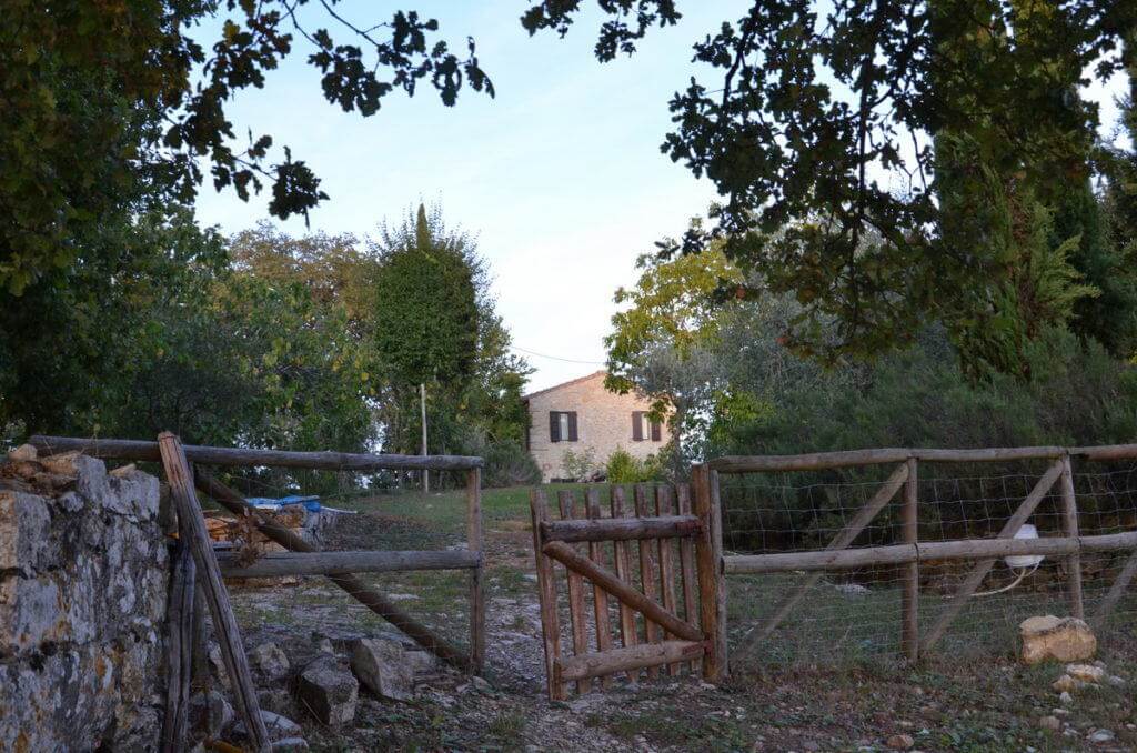 Wooden gate near cottage garden at Il Colombaio di Cencio, Gaiole, Chianti, Tuscany, Italy