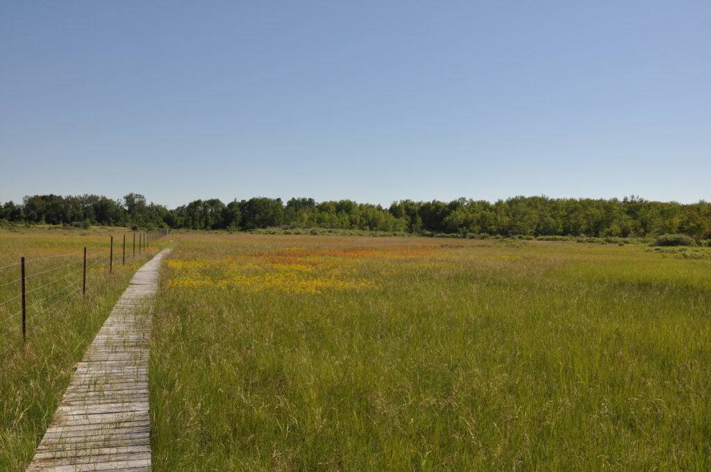 boardwalk at cameron ranch, carden alvar, ontario