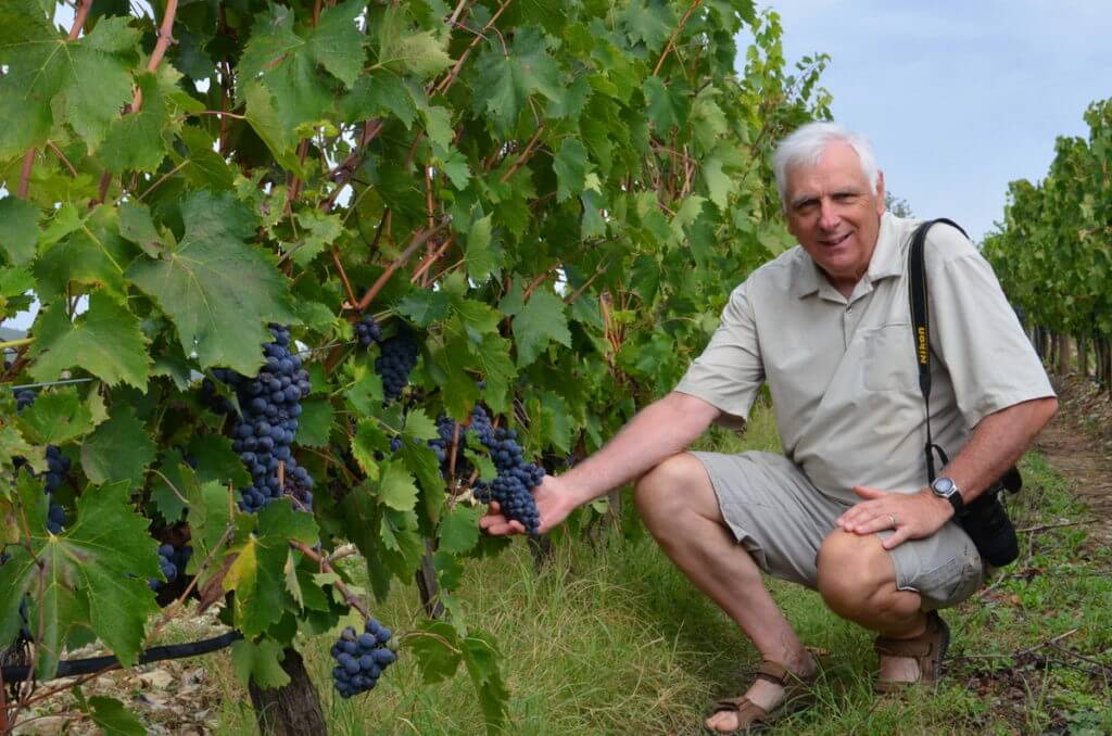 bob holds grapes on the vine at il colombaio di cencio vineyard, gaiole in chianti, itay