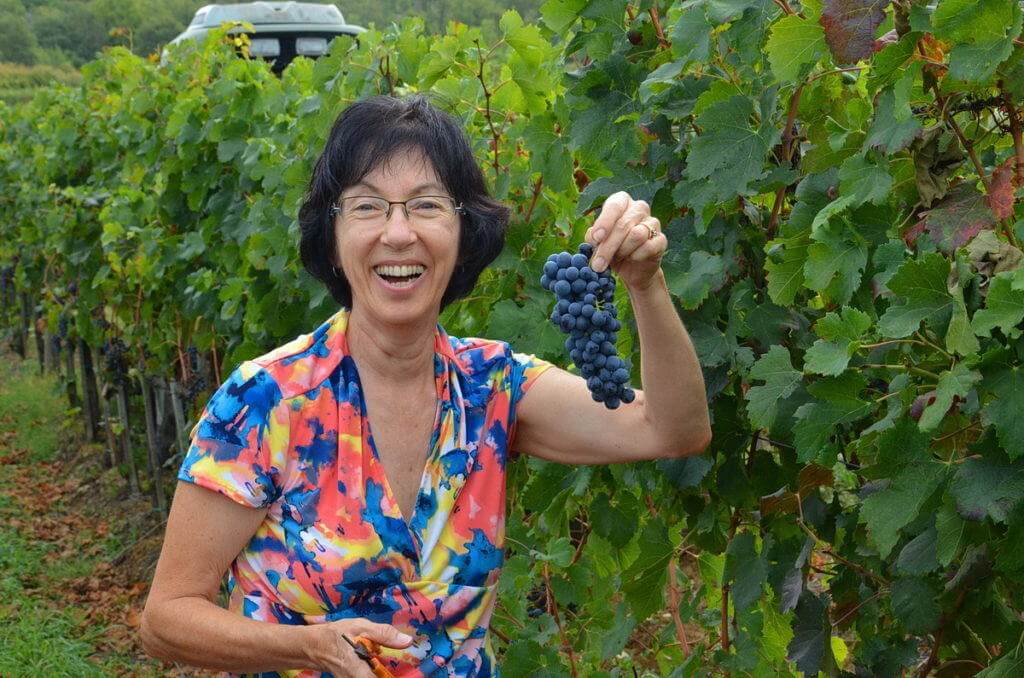 jean holds grapes at il colombaio di cencio vineyard, gaiole in chianti, itay
