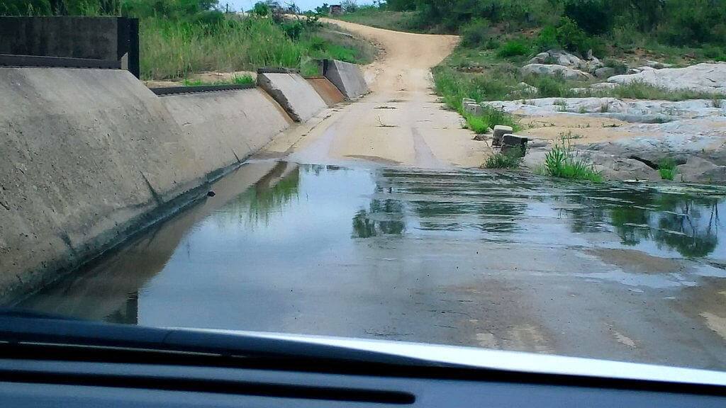 river-crossing-in-kruger-national-park-south-africa