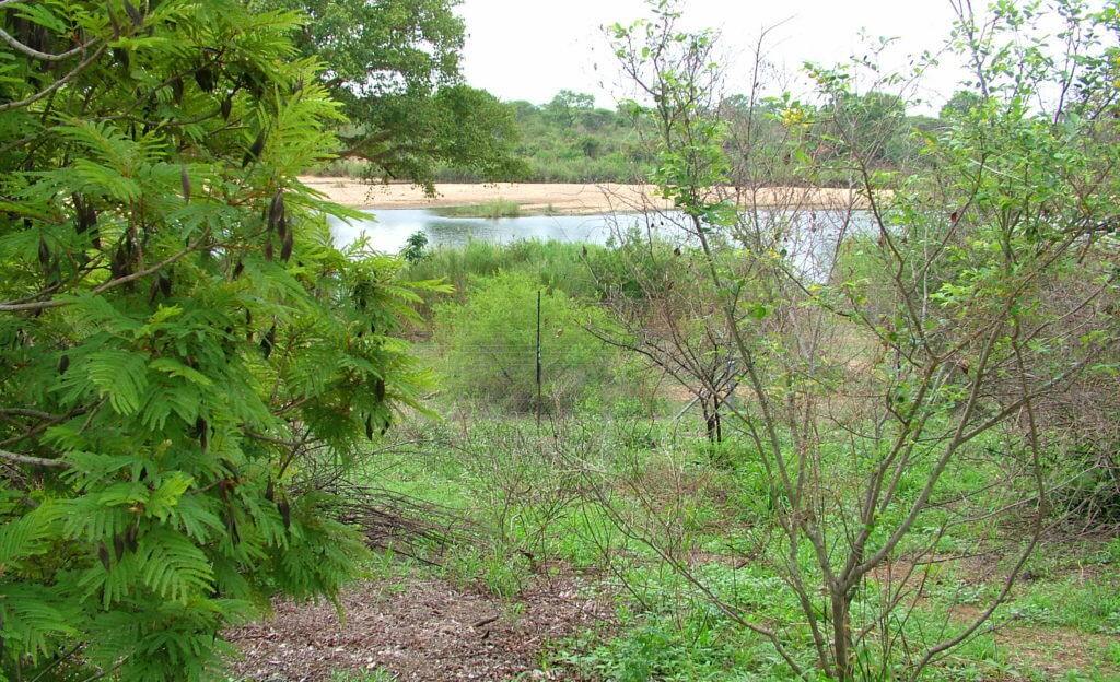 sabie river, lower sabie rest camp, kruger national park, south africa
