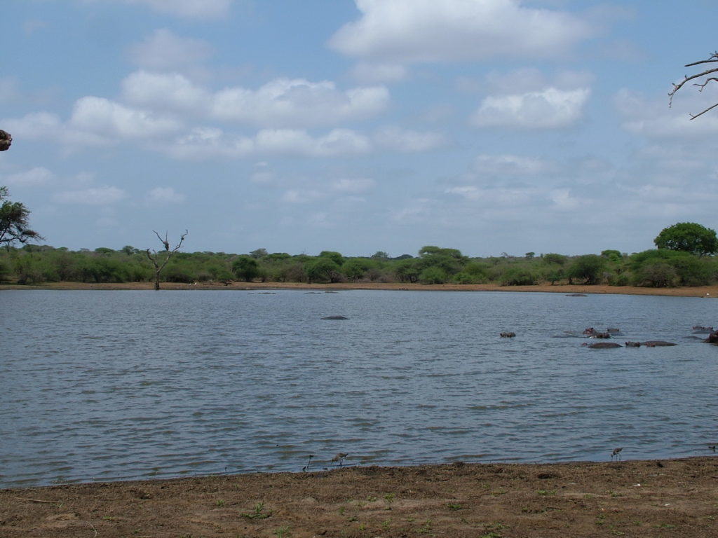 sunset-dam-near-lower-sabie-rest-camp-in-kruger-national-park-south-africa