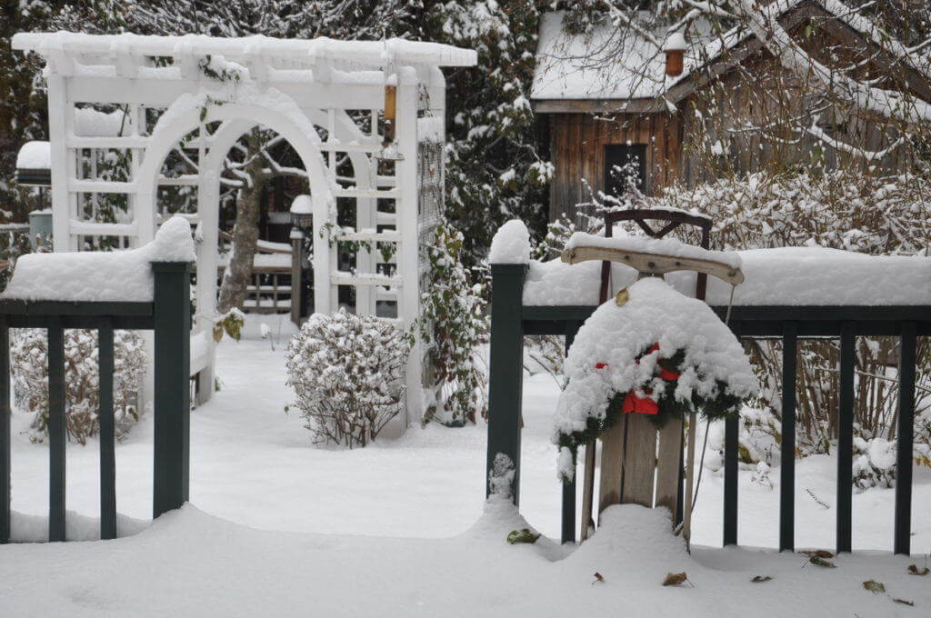 christmas-in-our-backyard