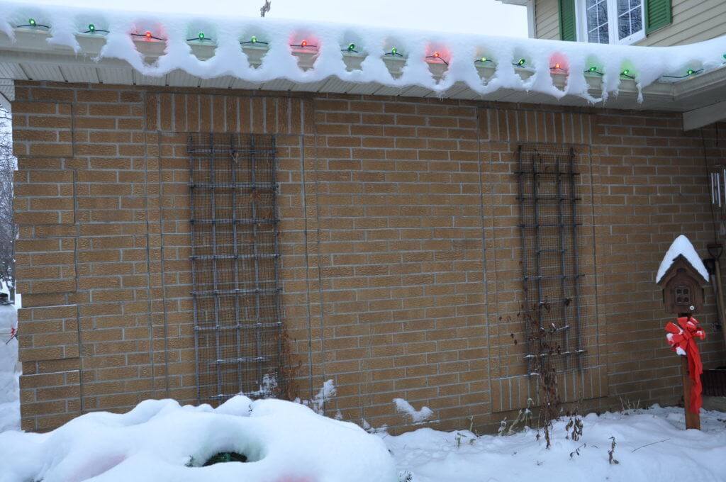 christmas-tree-lights-with-snowy-trim-toronto-ontario-canada-5