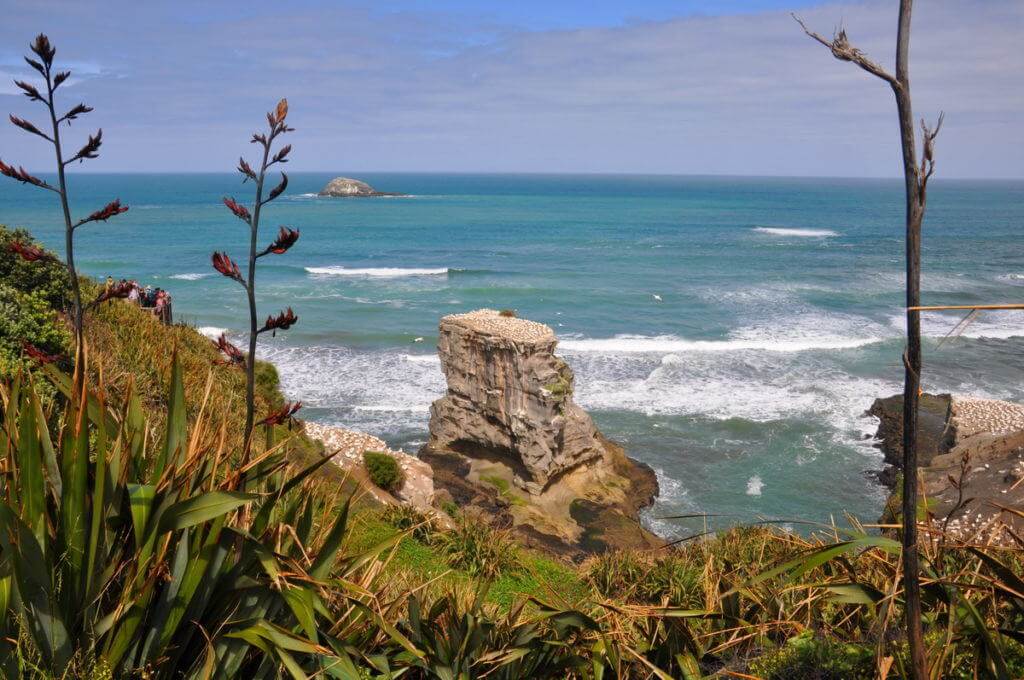 coastline-at-the-muriwai-gannet-colony-waitakere-new-zealand