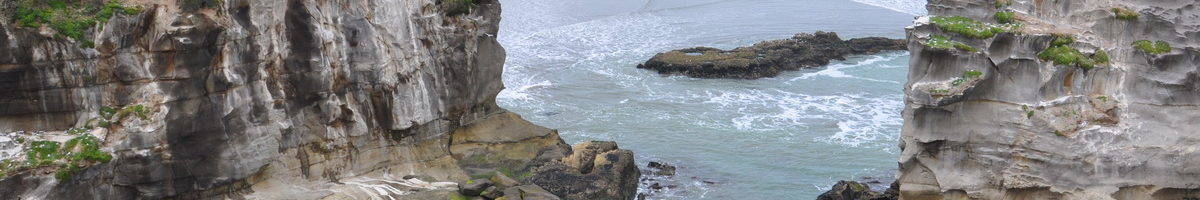 coastline-at-the-muriwai-gannet-colony-waitakere-new-zealand-pic-2